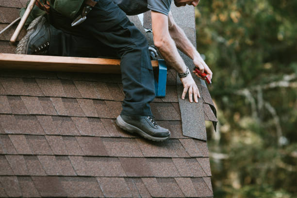 Best Roof Gutter Cleaning  in Stony Point, NC